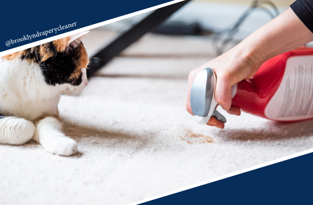 carpet cleaning in brooklyn, carpet cleaning in new york, carpet cleaning brooklyn, carpet cleaners in brooklyn, carpet cleaners in new york, commercial carpet cleaning, commercial carpet cleaning in brooklyn, brooklyn rug cleaners, rug cleaning services in brooklyn, same day carpet cleaning, same day rug cleaning